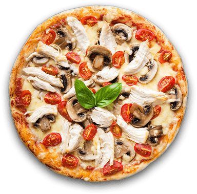 Mushroom pizza